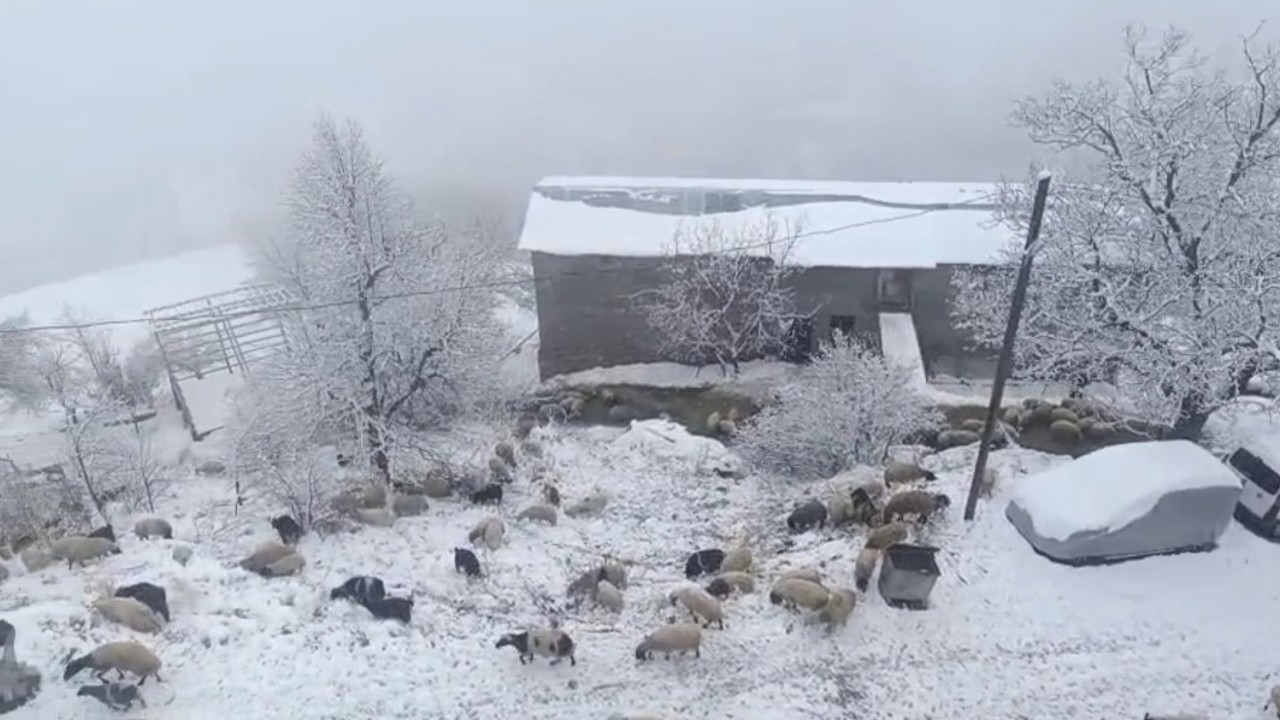 Bahçesaray’da kar yağışı

