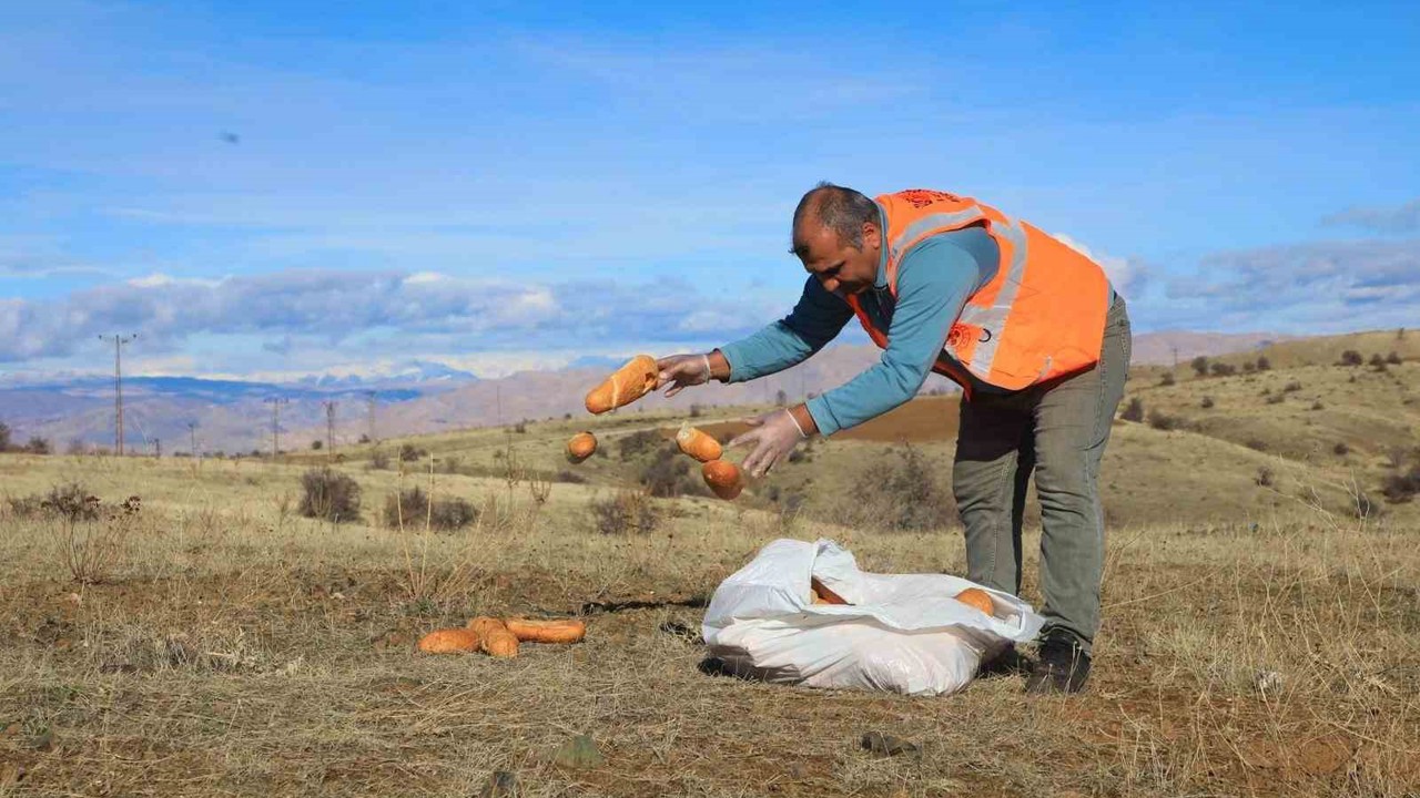 Elaızığ’da doğaya yem bırakıldı
