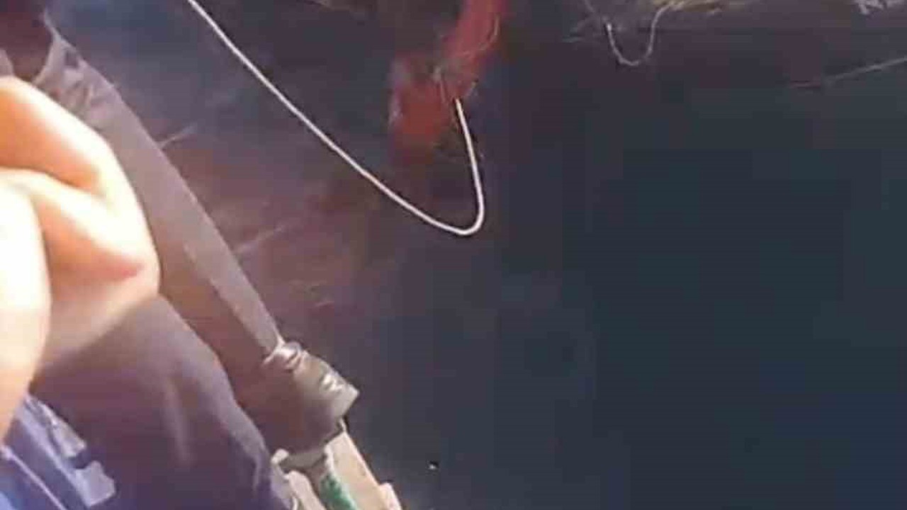 Feribottan atlayan kişiyi Gestaş personelleri ve balıkçılar kurtardı
