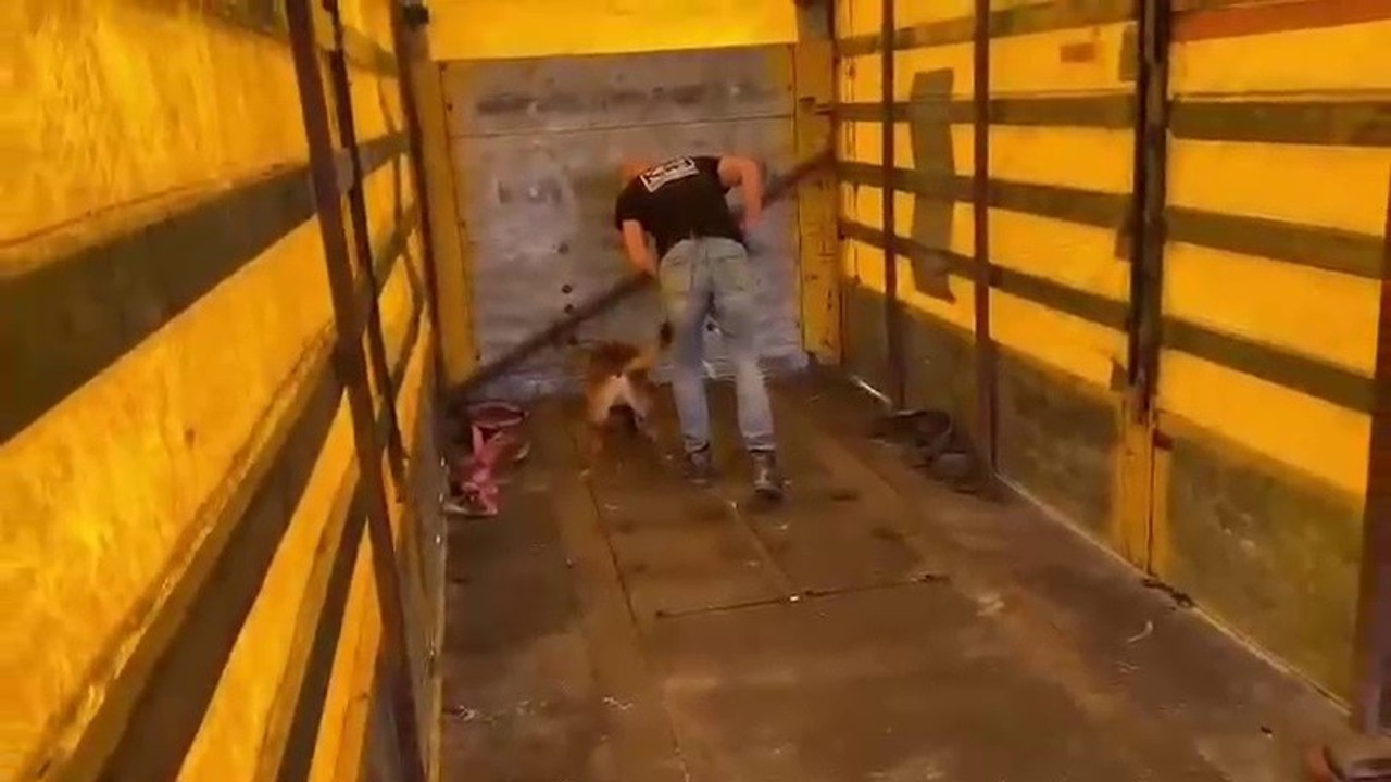 Tırın tabanına binlerce uyuşturucu hap sakladılar
