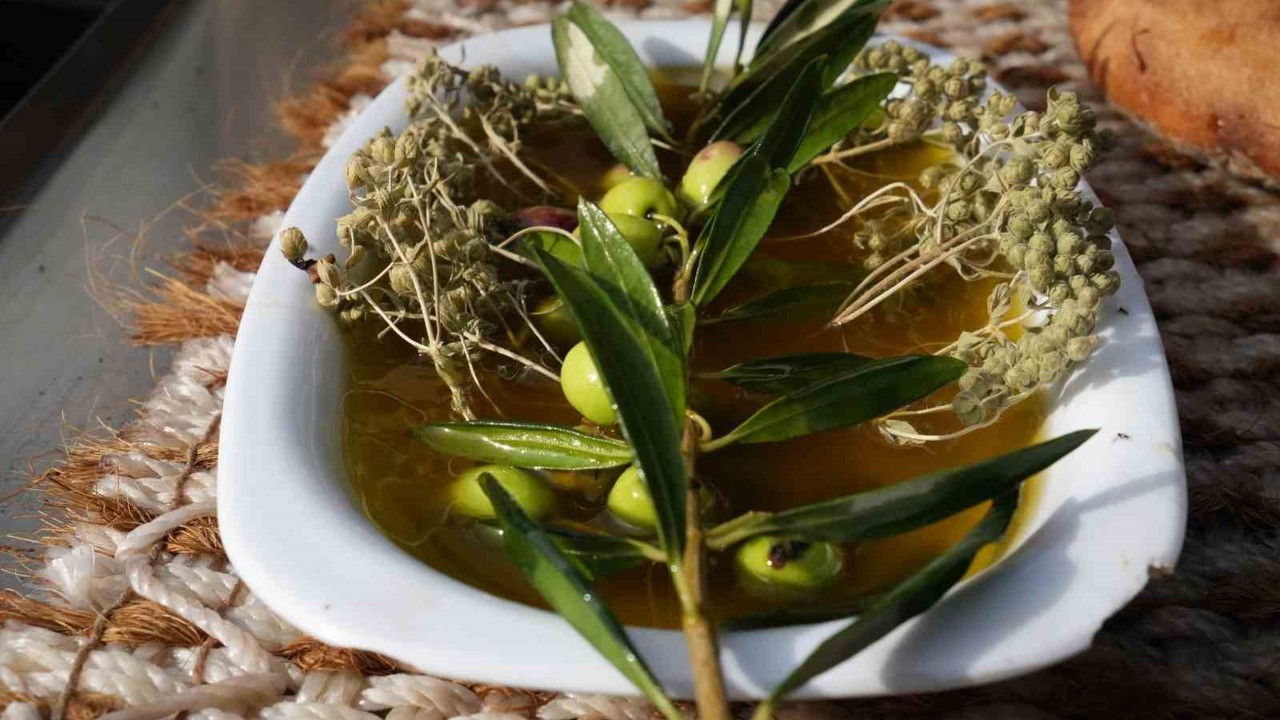 Oleolog Dr. Kıvrak: "Erken ve olgun hasat zeytinyağları farklı içeriklere sahiptir"
