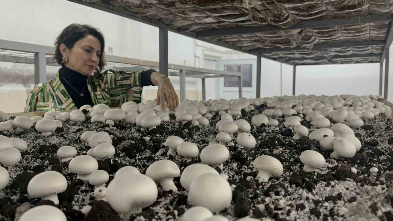 Hem eğitim görüp hem üretiyorlar
