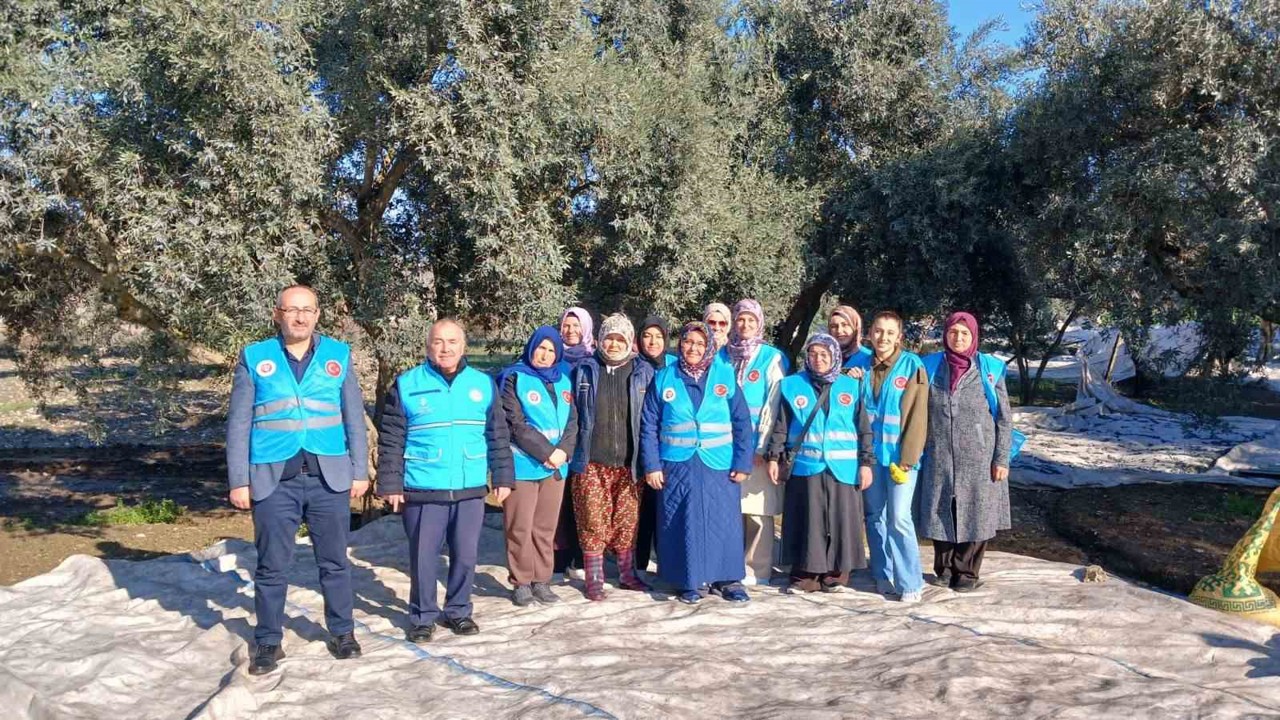 Yatağan’da zeytin hasadı ve bereket duası yapıldı
