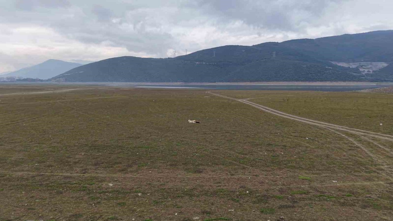 Bursa’da bir göl daha yok oluyor...
