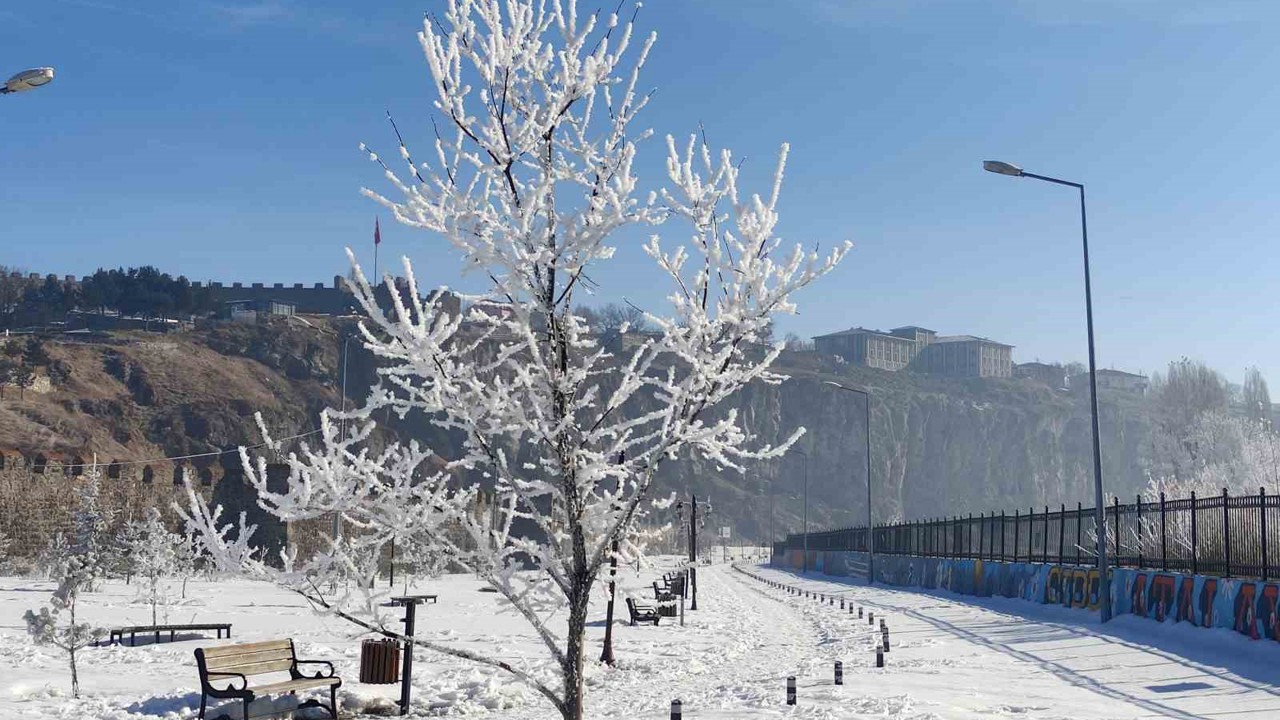 Göle eksi 16 dereceyi gördü, ağaçlar kırağı tuttu
