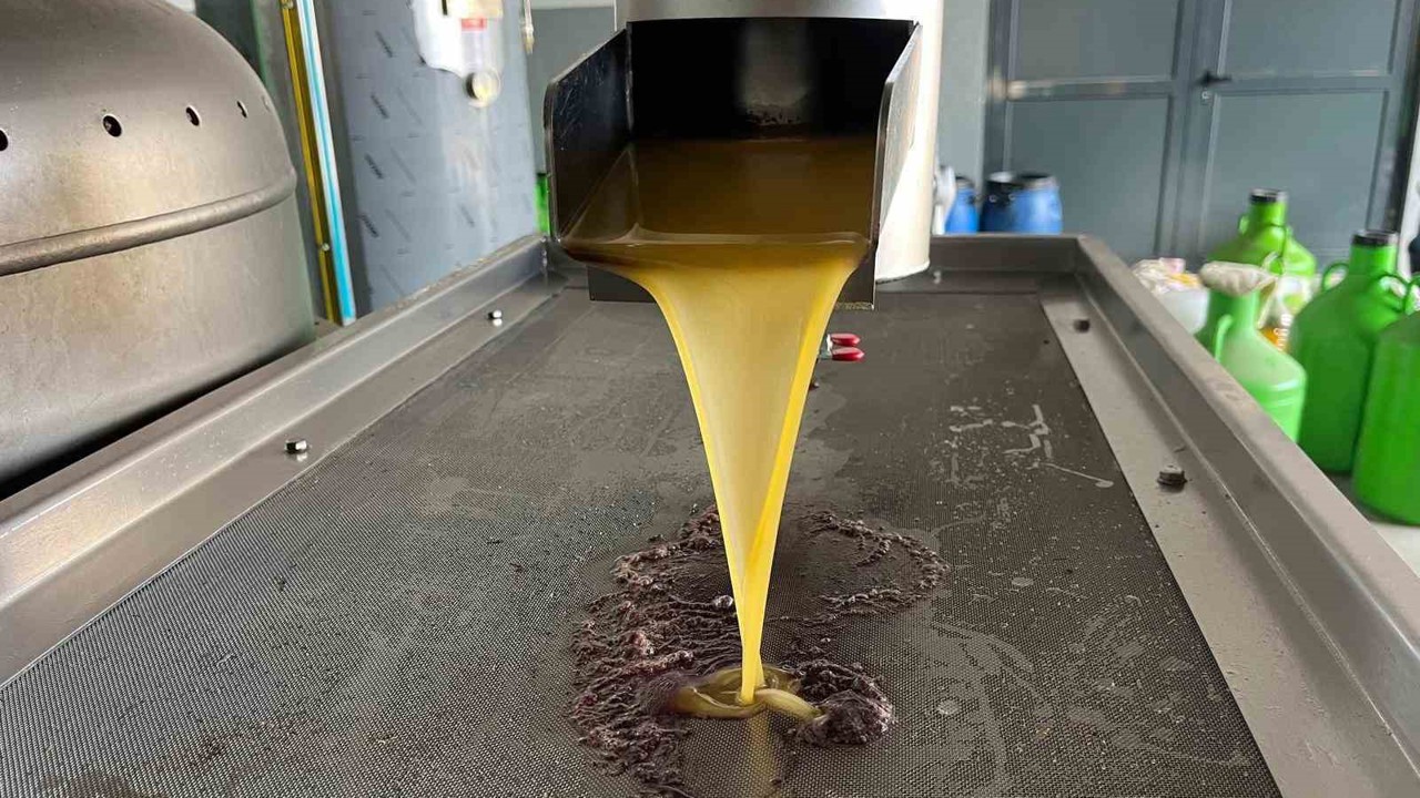 Kara meyve altın sıvıya dönüşüyor
