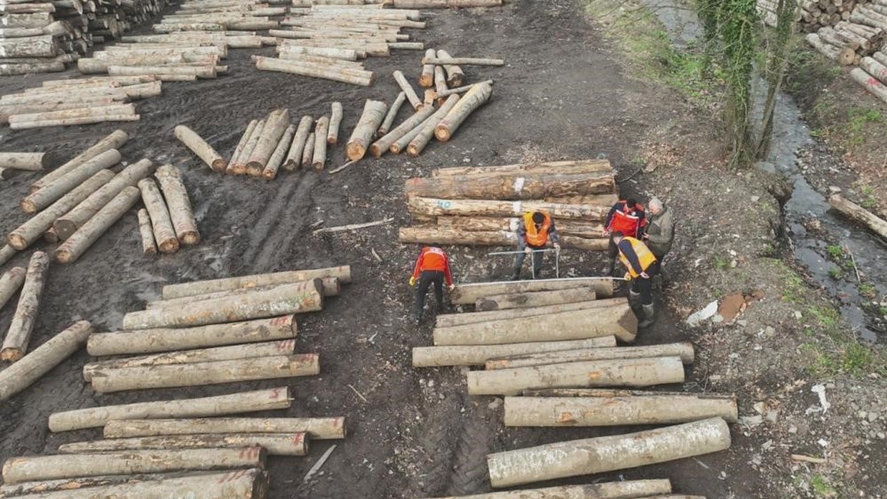 Düzce’den 22 bin 310,95 ton orman ürünü ihraç edildi
