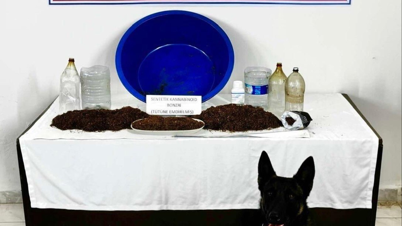 Çankırı’da uyuşturucu operasyonu: 1 gözaltı

