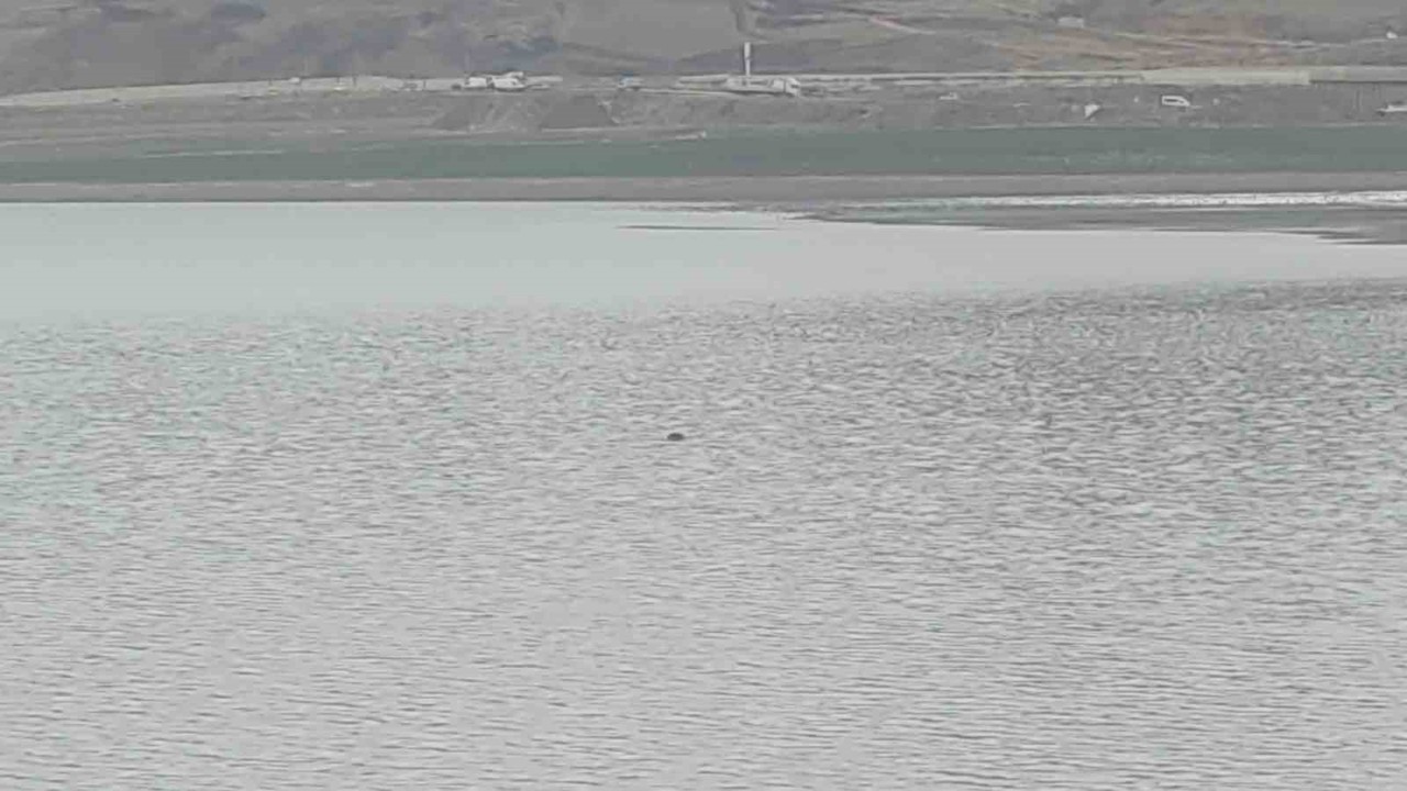 Sıhke Göleti’ne giren inek telef oldu
