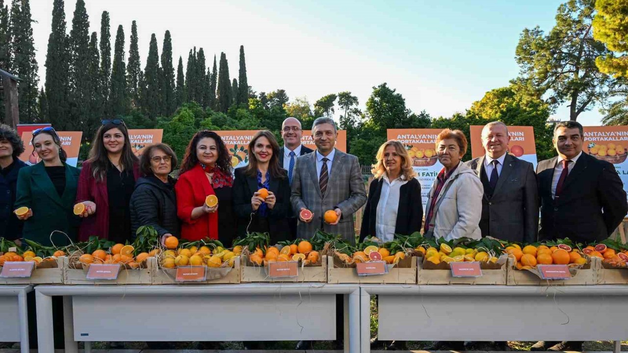 Tescillenip dünya pazarında yerini alan Antalya portakalları tanıtıldı
