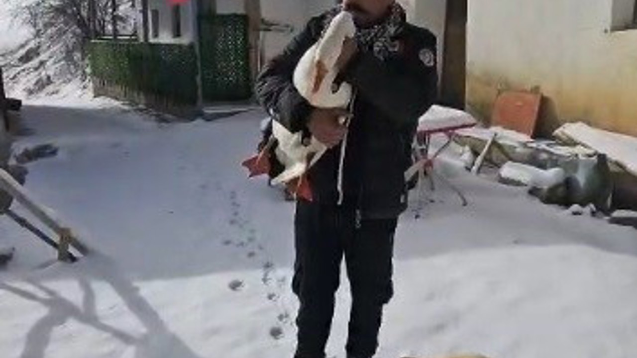 Kazından helallik istedi
