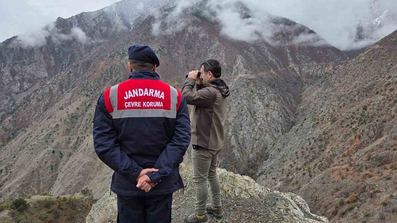 Artvin’de kaçak ve usulsüz avcılığa yönelik denetimler sürüyor
