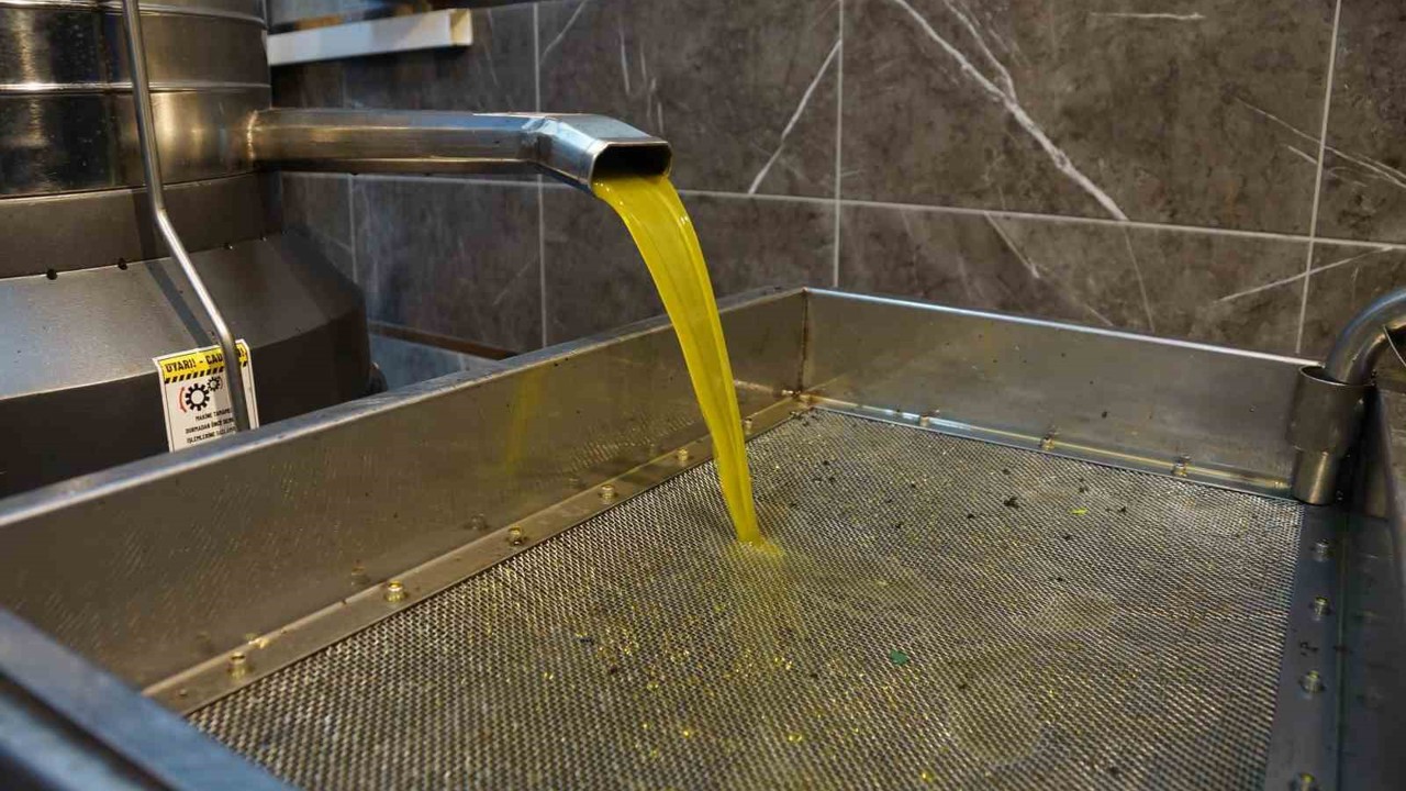 Zeytinyağı fiyatları belli oldu, fiyatlarda artış yaşandı
