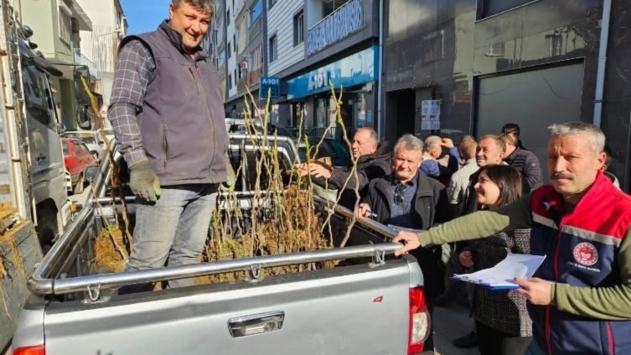 Germencik’te üreticiye 4 bin sertifikalı fidan desteği
