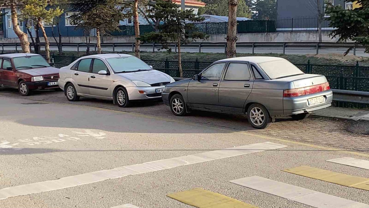Soğuk hava sebebiyle çimler ve otomobil camları buz tuttu
