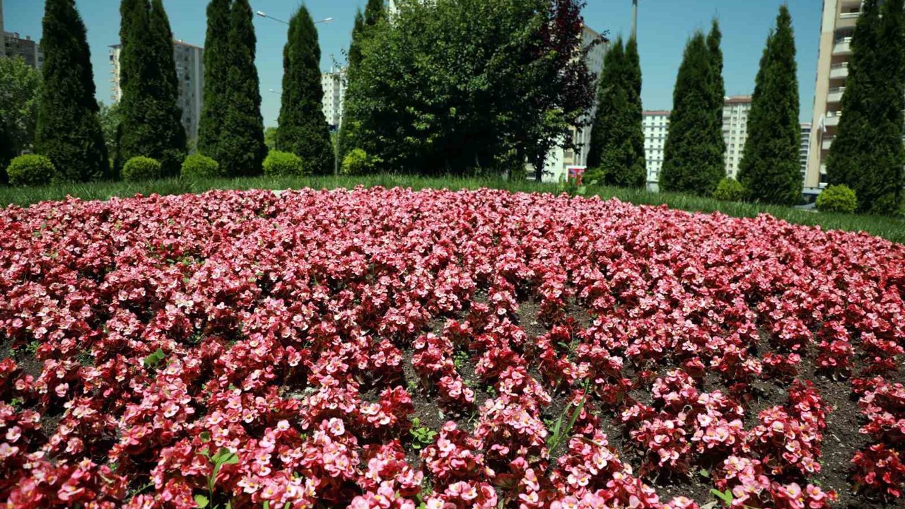 Talas 2026’da rengarenk olacak
