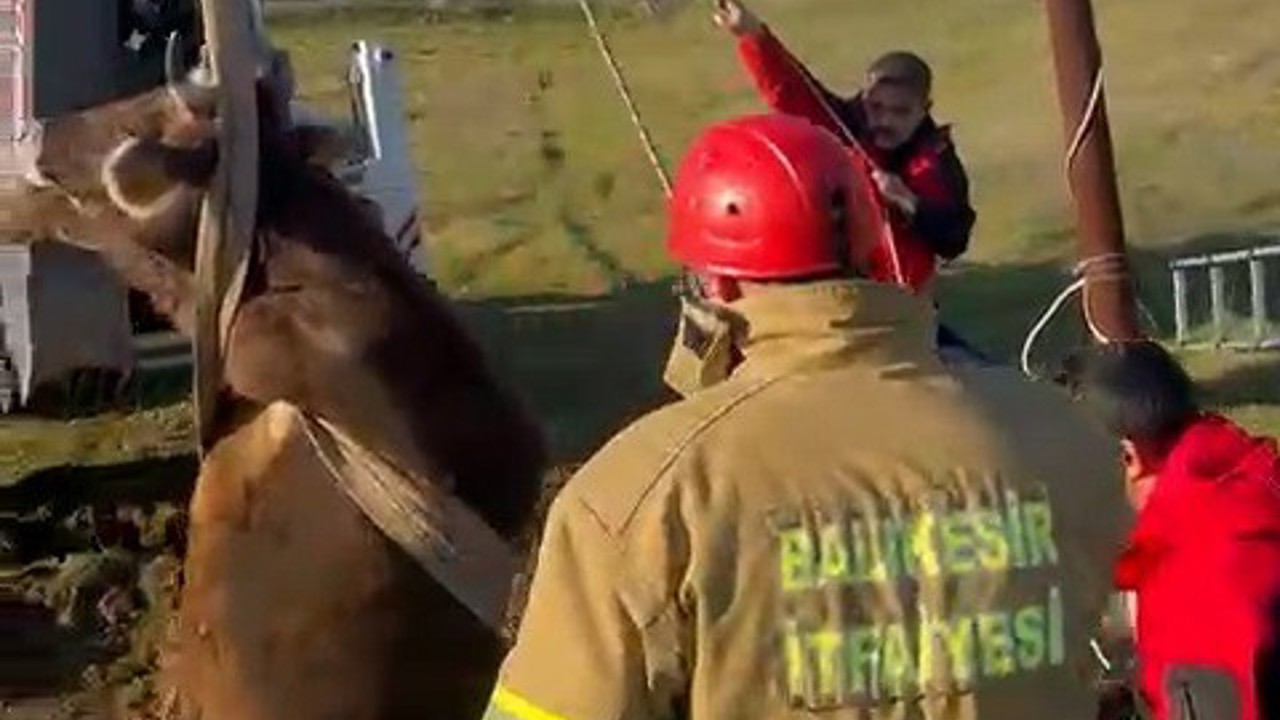 Balıkesir’de kuyuya düşen inek kurtarıldı
