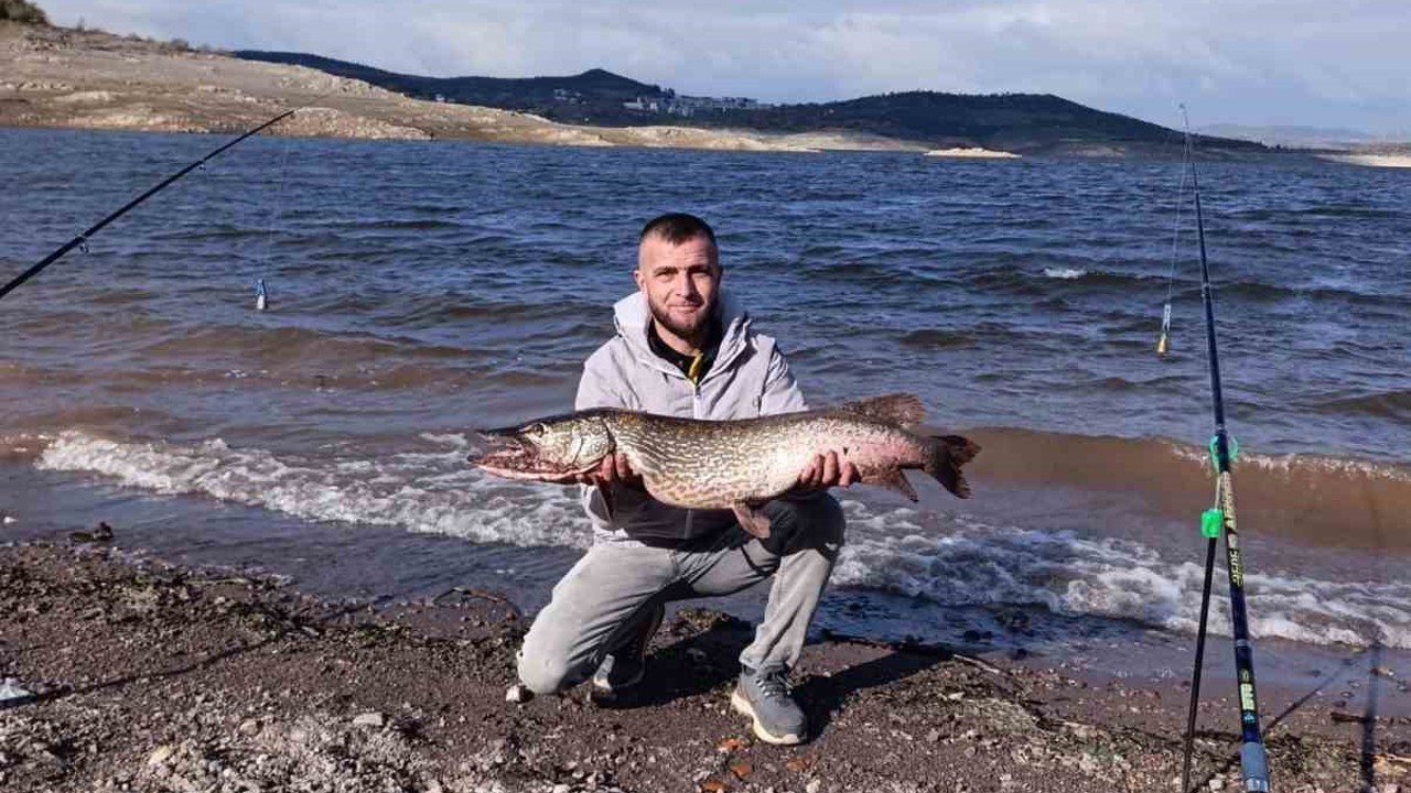 Sındırgı’da dev sazan balığı yakalandı
