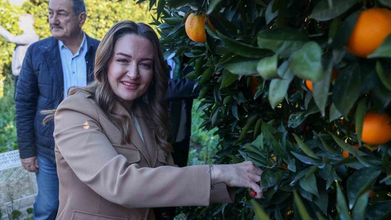 Başkan Vekili Özdemir: "Finike’nin ihtiyaçları doğrultusunda çalışmalarımızı yapıyoruz"

