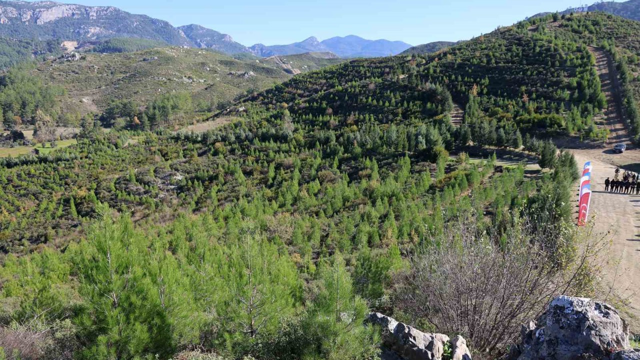 Kara tablo, 6 yılda yeşil örtüye dönüştü
