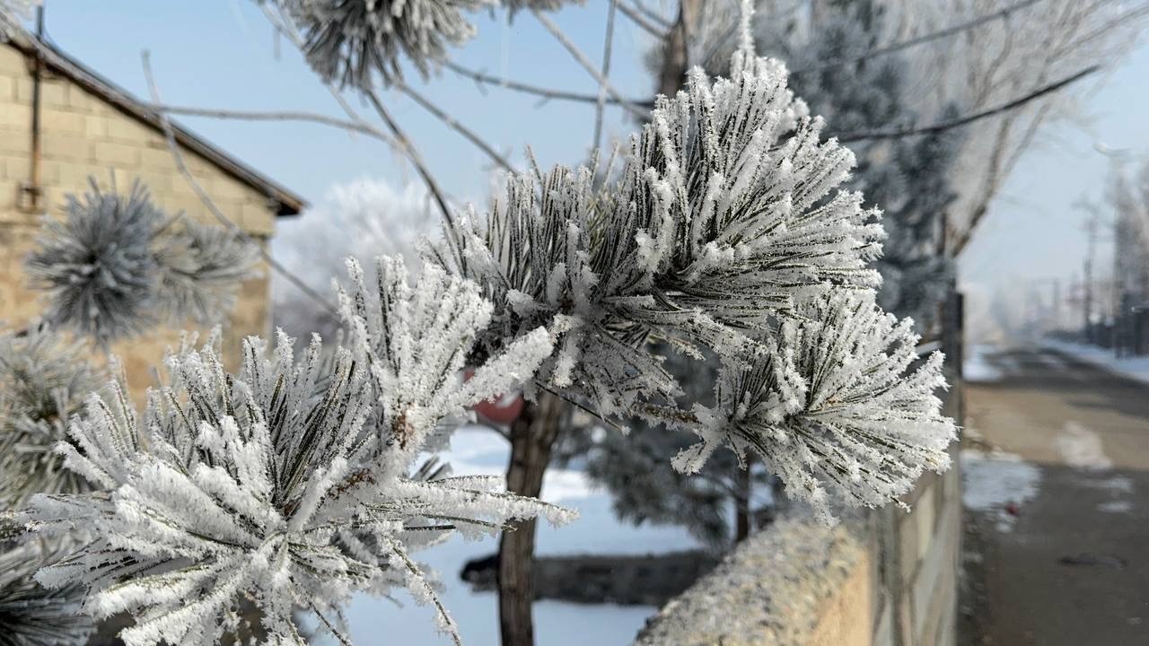 Araçlarını soğuktan korumak için battaniyelerle örtüyorlar
