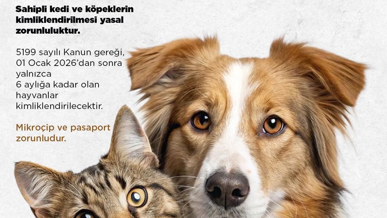 Niğde Belediyesi’nden kedi ve köpek sahiplerine uyarı: Son başvuru 31 Aralık 2025
