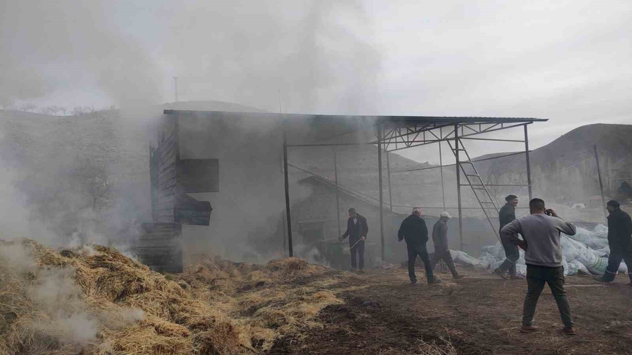 Malatya’da besi çiftliğinde yangın

