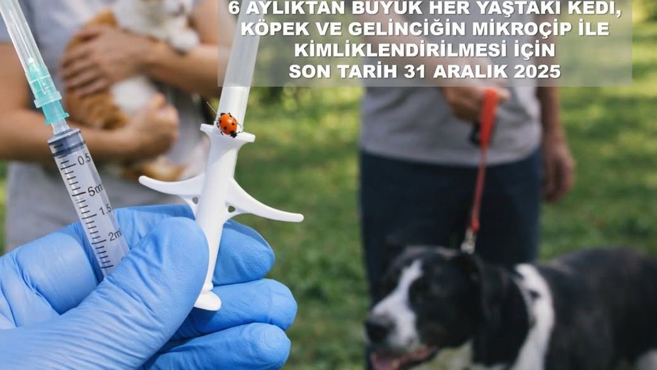 Valilikten evcil hayvan uyarısı
