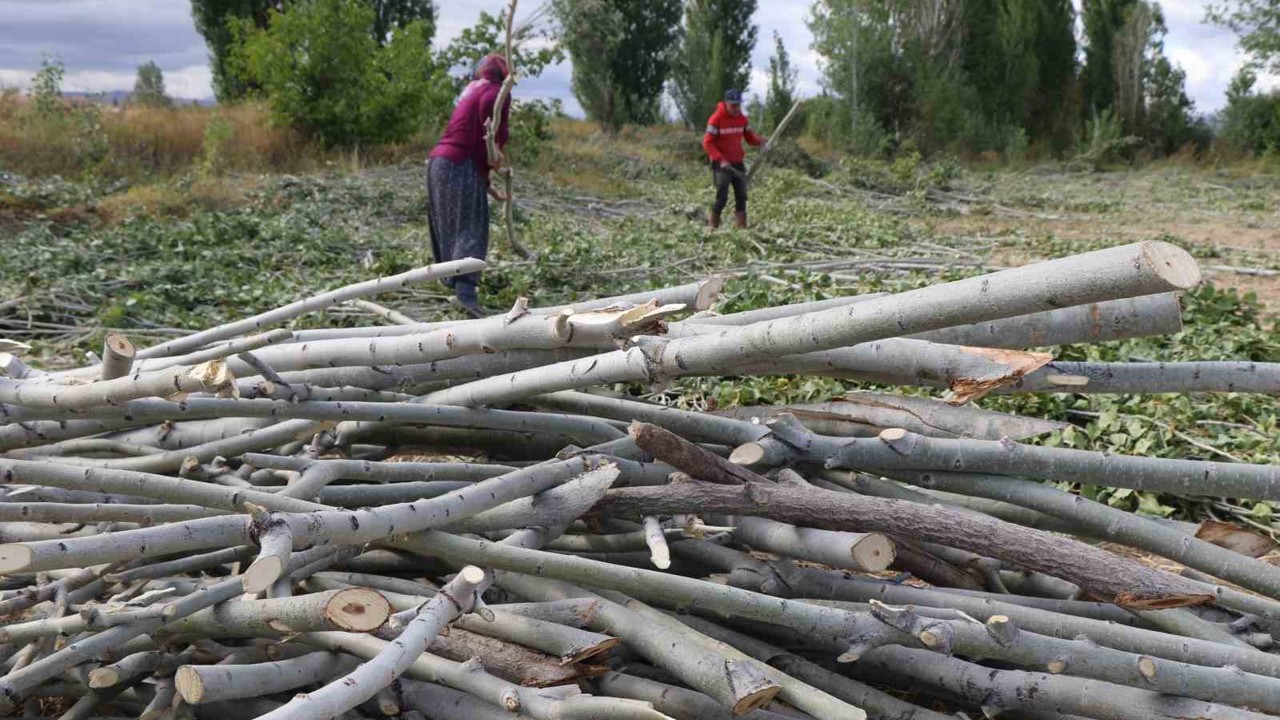 Kömür pahalı, odun umut: Erzincan kırsalında kış mesaisi
