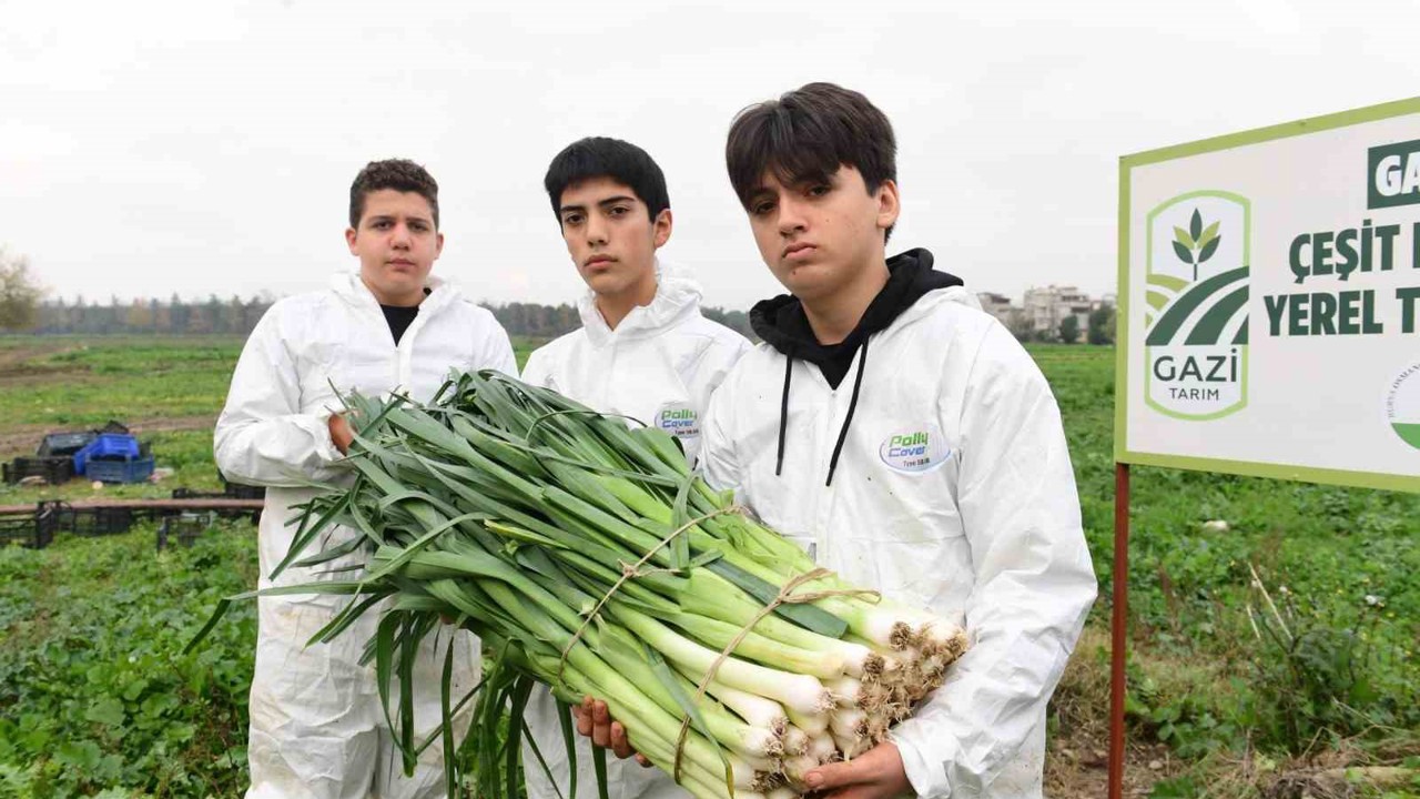 Osmangazi’de pırasa hasadıyla doğallık sofralara taşınıyor
