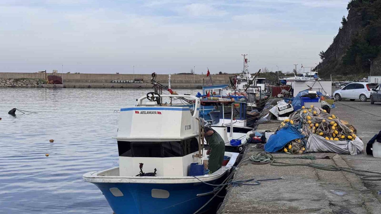 Zonguldak’ta hamsi yoğunluğu yaşandı, palamut çıkmadı
