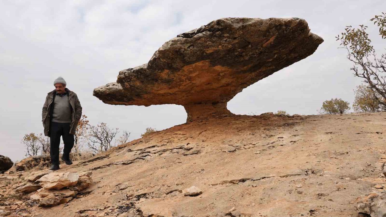 Diyarbakır’da buzul çağ kalıntısı: Tam 6 milyon yıl önceye ait
