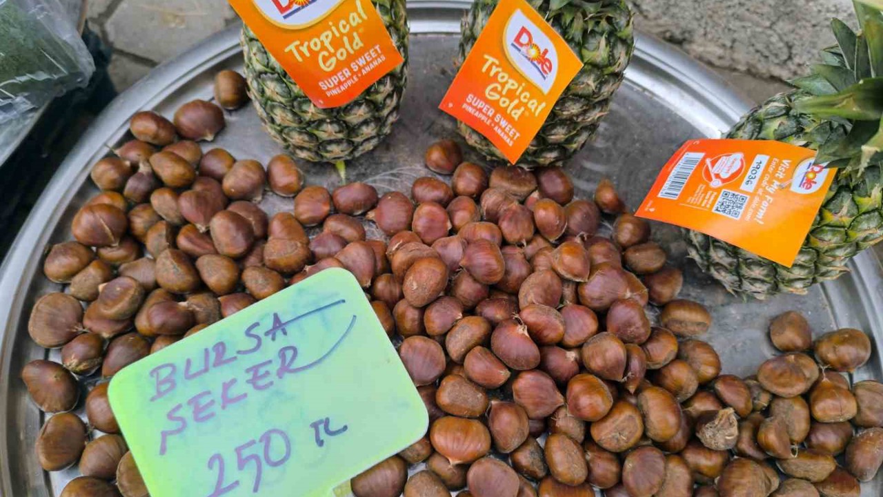 Kestane fiyatıyla yüzleri güldürdü
