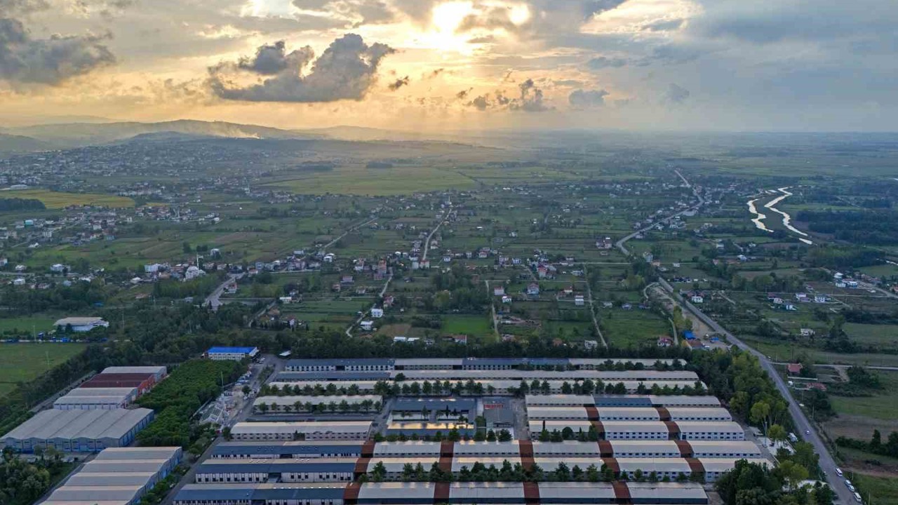 SAMÜ, 7 alanda ilk 20 üniversite arasında yer aldı
