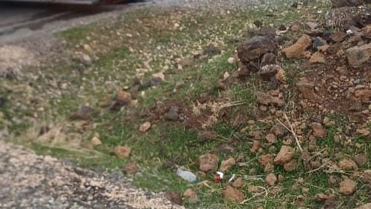 Diyarbakır’da seyir halindeki tır alev aldı
