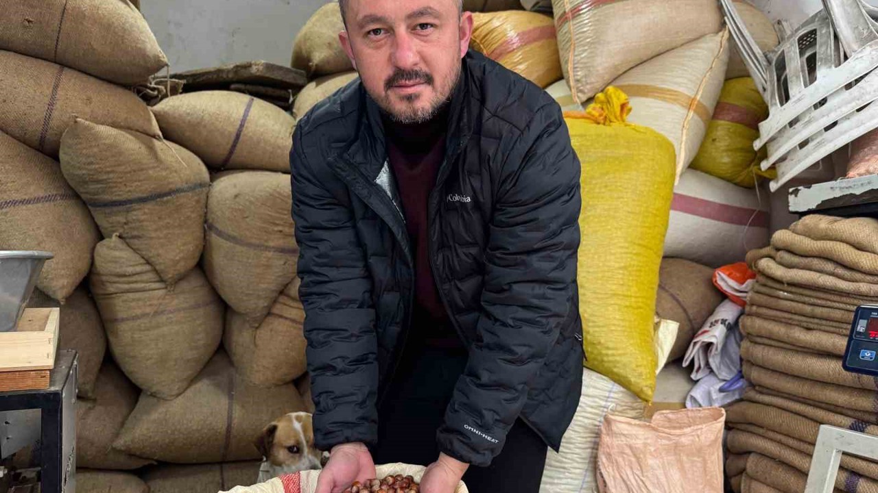 Giresun’da fındık fiyatı yılbaşına günler kala yükselişe geçti
