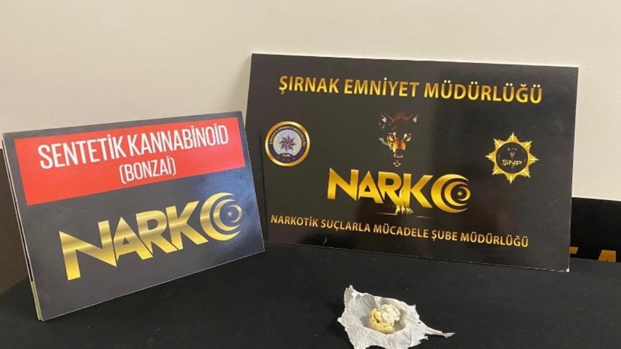 Şırnak’ta narkotik ve kaçakçılık operasyonu: 4 tutuklama
