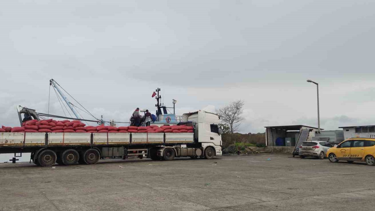 Karadeniz’den çıkartılan beyaz kum midyesine sıkı denetim
