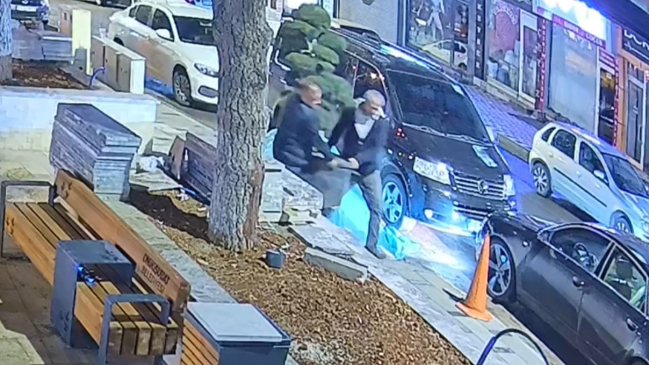 Bu da ağaç hırsızlığı: Parktaki ağacı araçla çaldılar
