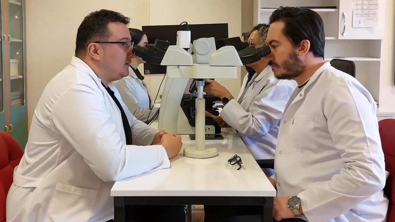 Prof. Dr. Özercan, "Her doku örneği kanser anlamına gelmiyor"
