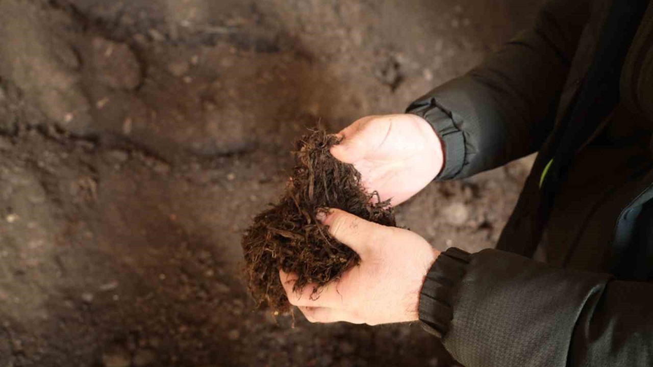 Torf üretimiyle yılda 50 milyon lira tasarruf sağlanıyor
