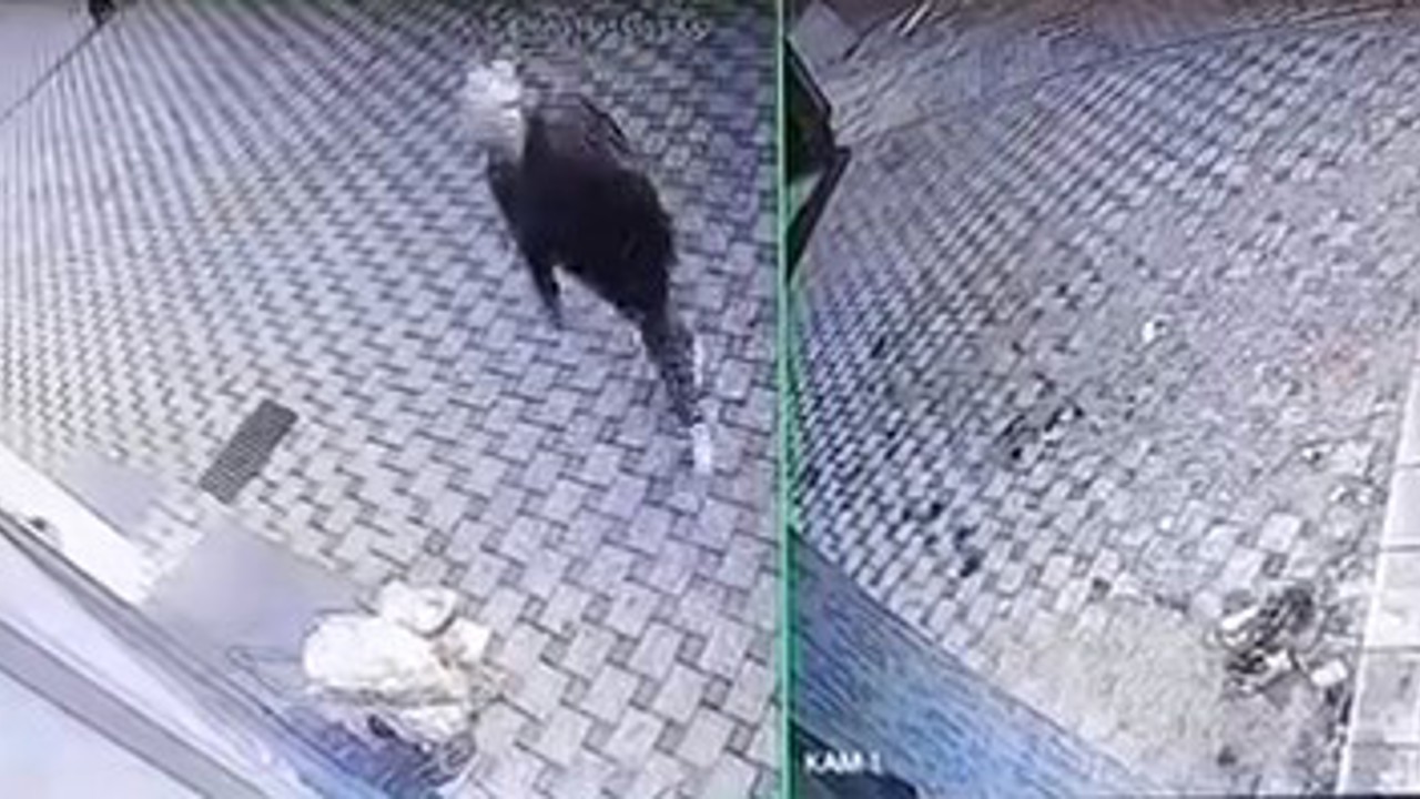 Bursa’da pazar arabası hırsızlığı
