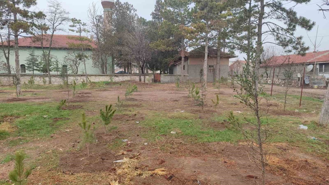 Umraniye köylüleri 300 adet fidanı okul ve camii bahçesine diktiler
