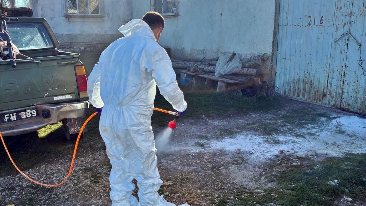 Çavdarhisar’da hayvan işletmelerinde salgın hastalıklara karşı dezenfeksiyon
