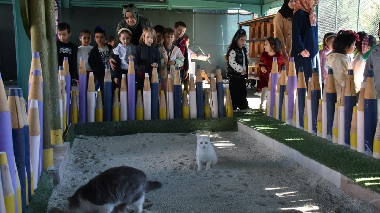 Türkiye’de ilk olan ’Küçük Dostlar Ambulansı’ ile 10 bin 280 can kurtarıldı
