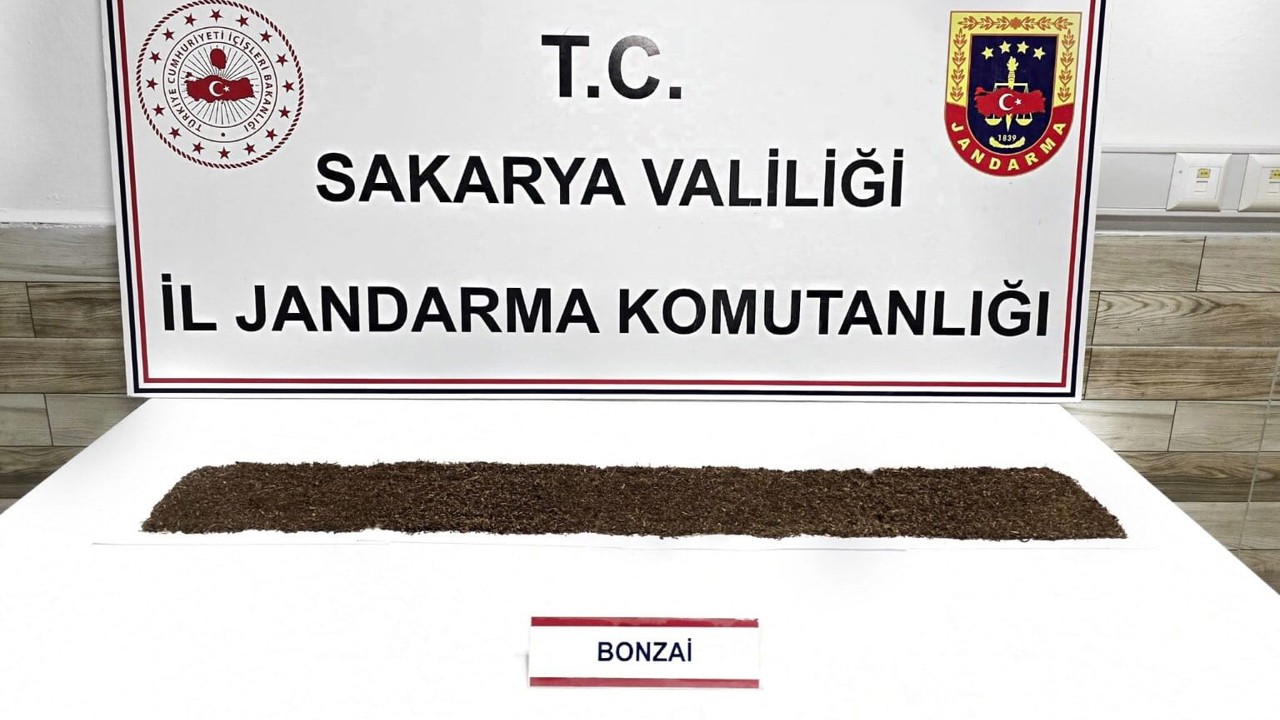 Jandarma uyuşturucuya geçit vermiyor: 1 tutuklama
