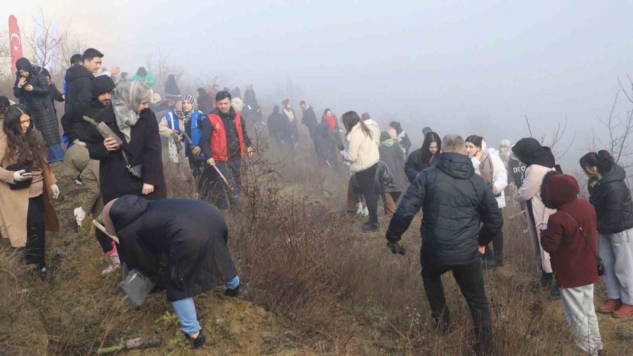 KBÜ’lü öğrenciler 500 çam fıstığı fidanını toprakla buluşturdu
