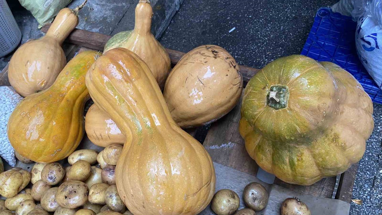 Kendisi ayrı, çekirdeği ayrı şifa kaynağı
