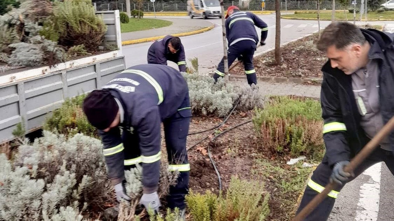 Körfez’de yeşil alanlar çiçeklerle süsleniyor
