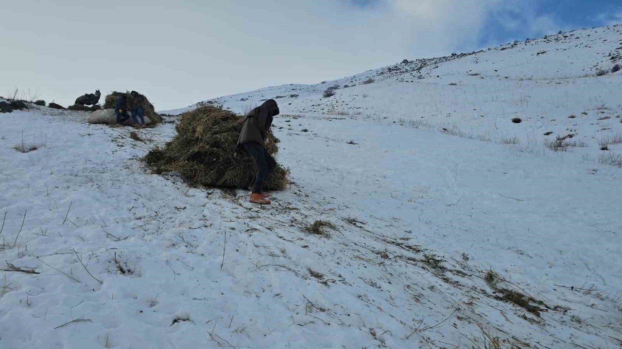 Erciş’te asırlık kış mesaisi: Otlar kızaklarla köye taşınıyor
